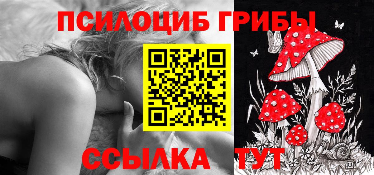 магазин продажи наркотиков  Псилоцибиновые грибы MAGIC MUSHROOMS  Вход с VPN  Набережные Челны 