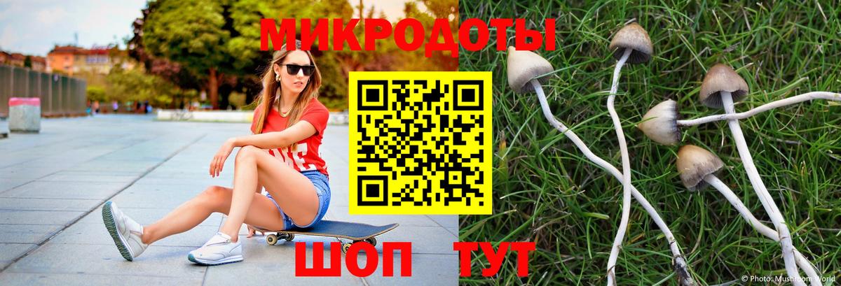 Псилоцибиновые грибы мицелий Набережные Челны